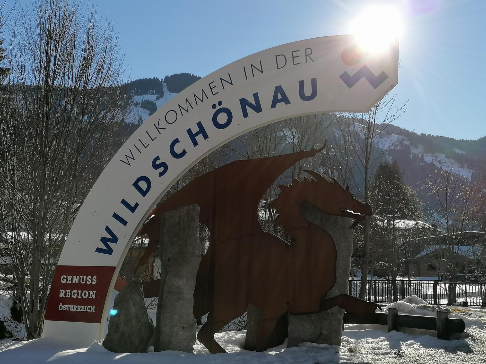 Loya Chalet Wild32 Oberau Esterno foto